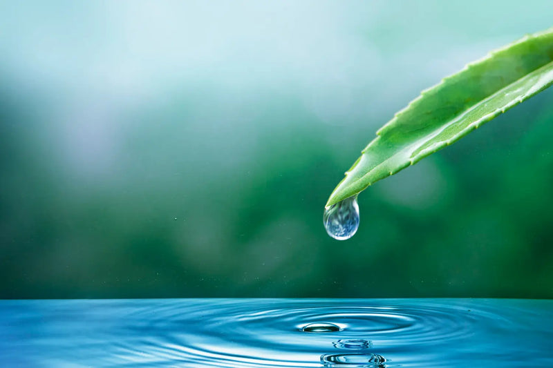 Waterfilter verwijdert PFAS en microplastics uit Nederlands kraanwater